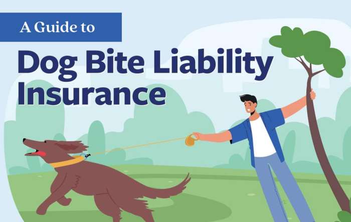 A Guide to Dog Bite Liability Insurance Infographic - Briskman Briskman ...