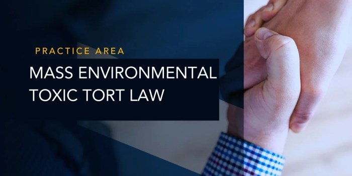 Miami Environmental Law Firm | Environmental Attorneys | Lydecker