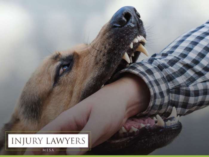 2022 Arizona Strict Liability For Dog Bite Injuries | Mesa Injury Attorney