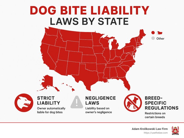 Dog Bite Attorneys: Top 5 Proven Experts 2025