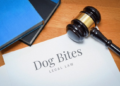 Arizona Dog Bite Laws - Rideout Law Group
