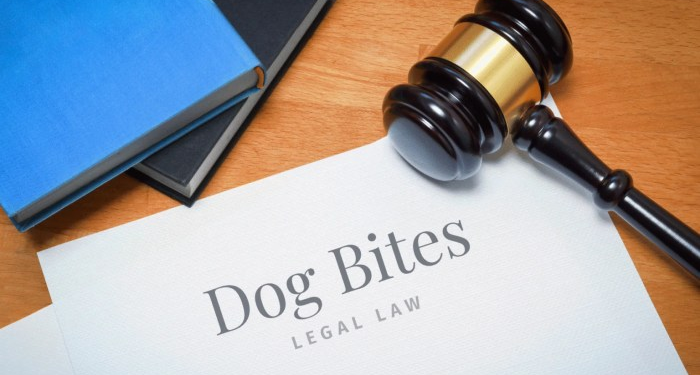 Arizona Dog Bite Laws - Rideout Law Group